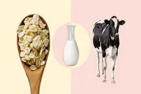 آیا شیر جو دوسر واقعاً از شیر گاو سالم تر است؟ یک نگاه دقیق تر