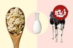 آیا شیر جو دوسر واقعاً از شیر گاو سالم تر است؟ یک نگاه دقیق تر