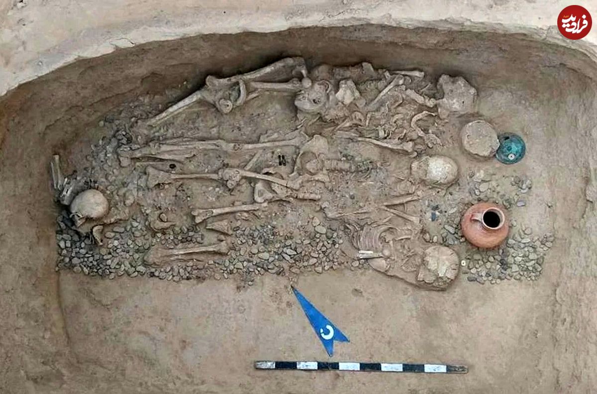 گنج گوشوارههای طلای 2 هزارساله از یک مقبره در «ترکستان» بیرون آمد
