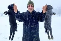 ببینید| غذای روستایی در آذربایجان؛ پخت غذا با خرگوش و سبزیجات در کوهستانی برفی