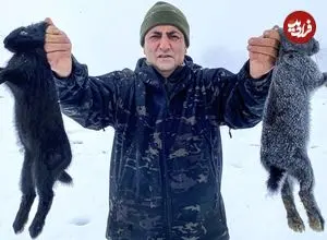 ببینید| غذای روستایی در آذربایجان؛ پخت غذا با خرگوش و سبزیجات در کوهستانی برفی