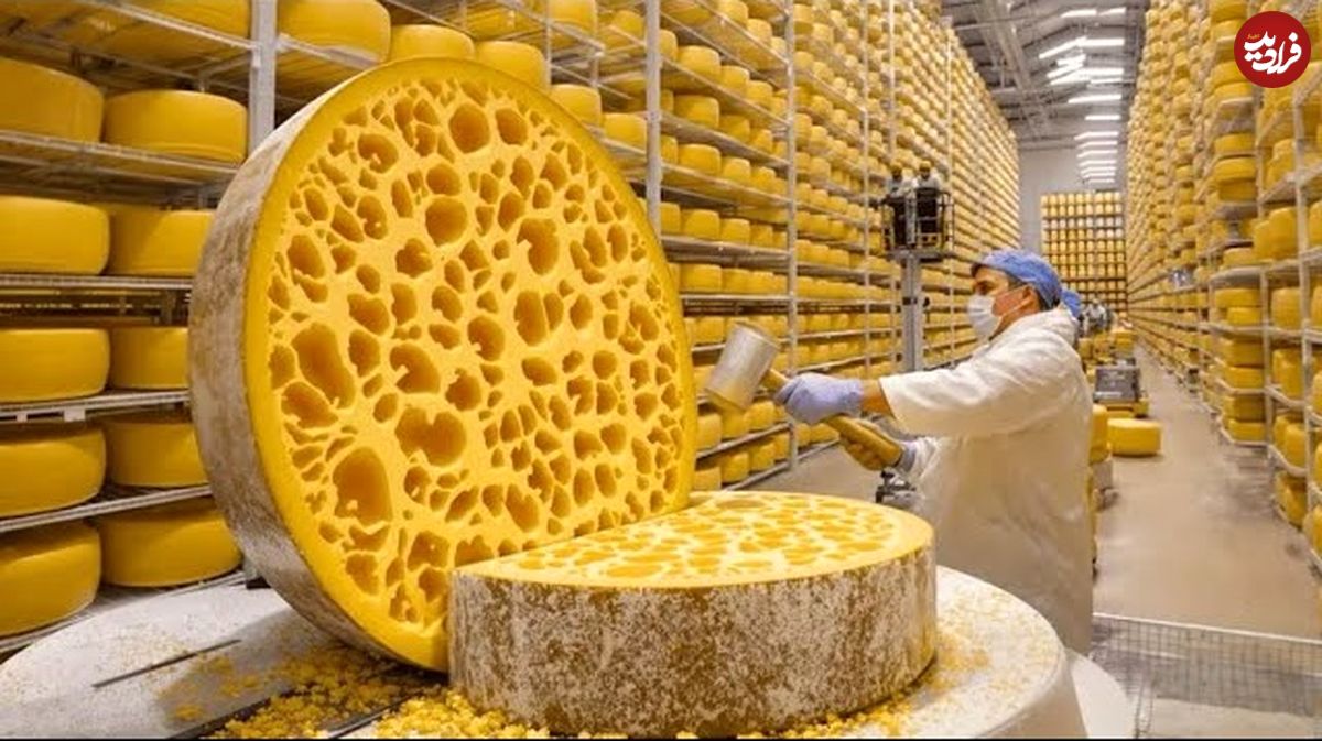 ببینید؛ پنیر پارمزان چگونه تولید می شود؟