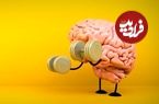 این ترکیب غذایی سبب تقویت مغز می‌شود