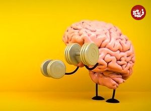 این ترکیب غذایی سبب تقویت مغز می‌شود