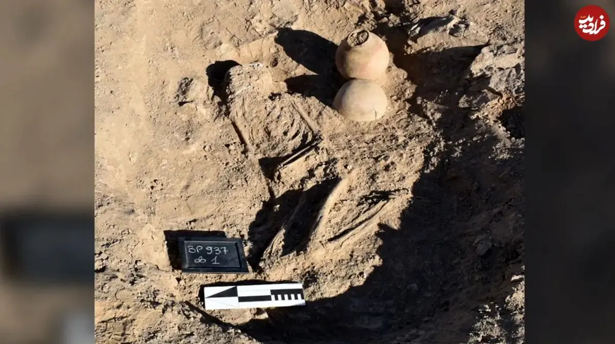 اسکلت 4 هزارساله‌ای که در کنار کوزه‌ای پر از «چوب و حشره و کود» دفن شده است