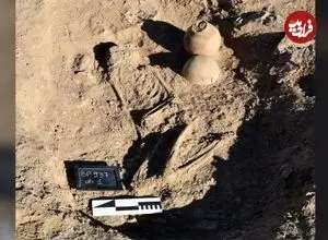 اسکلت 4 هزارساله‌ای که در کنار کوزه‌ای پر از «چوب و حشره و کود» دفن شده است