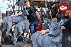 ببنیید| فرآیند ساخت مجسمه های چوبی گوزن در اندازه واقعی با اره برقی