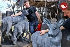 ببنیید| فرآیند ساخت مجسمه های چوبی گوزن در اندازه واقعی با اره برقی