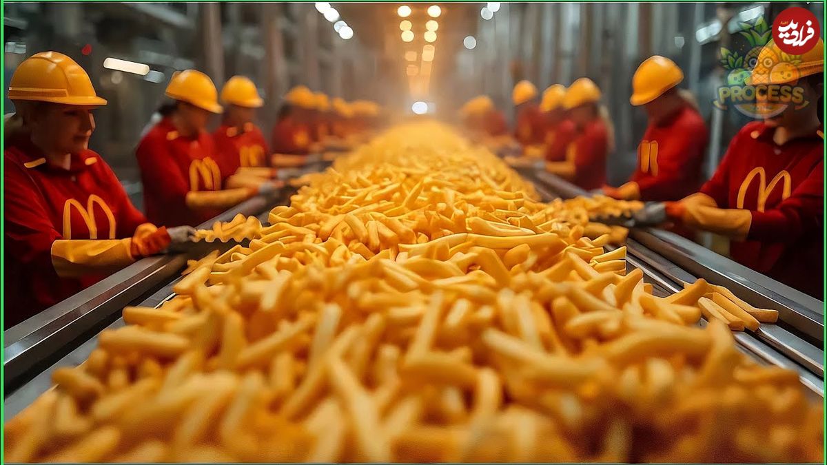 (ویدئو) ببینید چگونه هزاران تن سیب زمینی در کارخانه مشهور آمریکایی فرآوری می شود