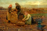 «سیب‌زمینی» چگونه از یک «غذای ممنوعه» به «خوراک پادشاه» تبدیل شد