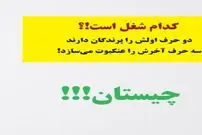 چیستان: کدام شغل است که دو حرف اولش را پرندگان دارند و سه حرف آخرش را عنکبوت می‌سازد!؟