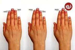 چه رازی در انگشتان ما پنهان است؟ / طول انگشت‌ها و تکامل مغز