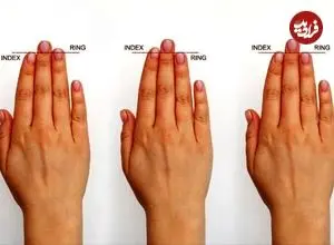 چه رازی در انگشتان ما پنهان است؟ / طول انگشت‌ها و تکامل مغز
