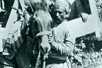 عکس| سفر به ایران قدیم؛ تصویری از «سفر با کجاوه» در ایران دوران قاجار