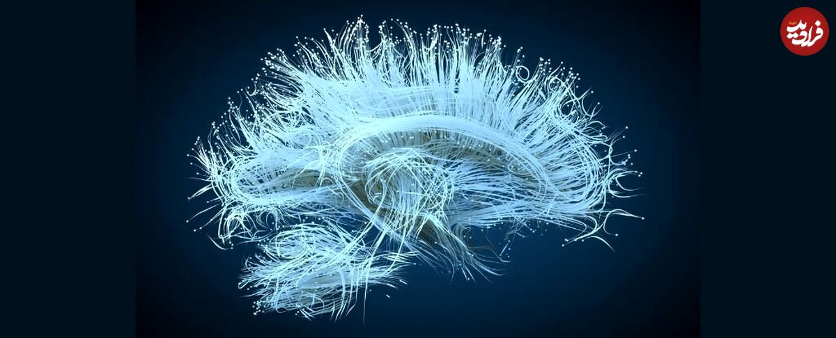 هک کردن مغز برای یادآوری خاطرات خاص گذشته؛ داستان‌های علمی تخیلی به حقیقت پیوسته‌اند؟