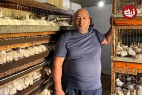 ببینید| غذای روستایی در روسیه؛ کباب بلدرچین در دل جنگل