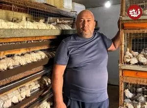 ببینید| غذای روستایی در روسیه؛ کباب بلدرچین در دل جنگل