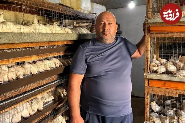 ببینید| غذای روستایی در روسیه؛ کباب بلدرچین در دل جنگل