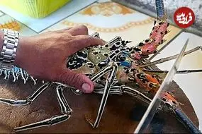 ببینید| غذای خیابانی در مالزی؛ پخت غذا با لابستر و ماهی در کوالالامپور