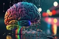 شکل مغز شما رفتار شما را تعیین می‌کند؟