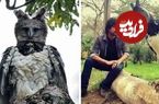 عکس؛ چنگال خوفناک عقاب هارپی؛ تصویری که کاربران اینترنت را شوکه کرد