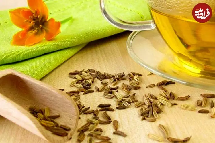 همۀ آنچه دربارۀ «رازیانه» باید بدانیم