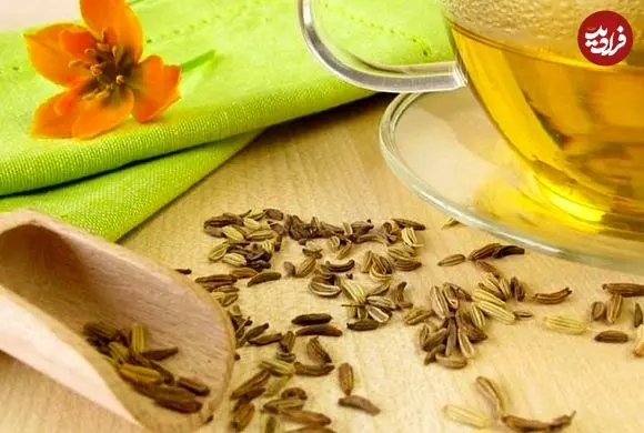 همۀ آنچه دربارۀ «رازیانه» باید بدانیم