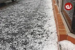 ببینید؛ مراسم عروسی با چاشنی تگرگ! لحظه بارش دانه های درشت تگرگ و سفیدشدن زمین