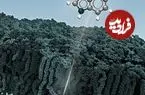 هوش مصنوعی در رویارویی با یکی از خطرناک‌ترین باکتری‌ها!