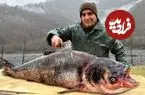 ببینید| غذای روستایی در آذربایجان؛ کباب کردن ماهی غول پیکر در تنور زیر زمینی