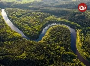 بزرگ‌ترین جنگل جهان کجاست؟