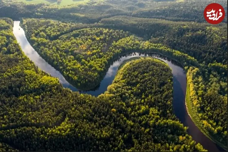 بزرگ‌ترین جنگل جهان کجاست؟
