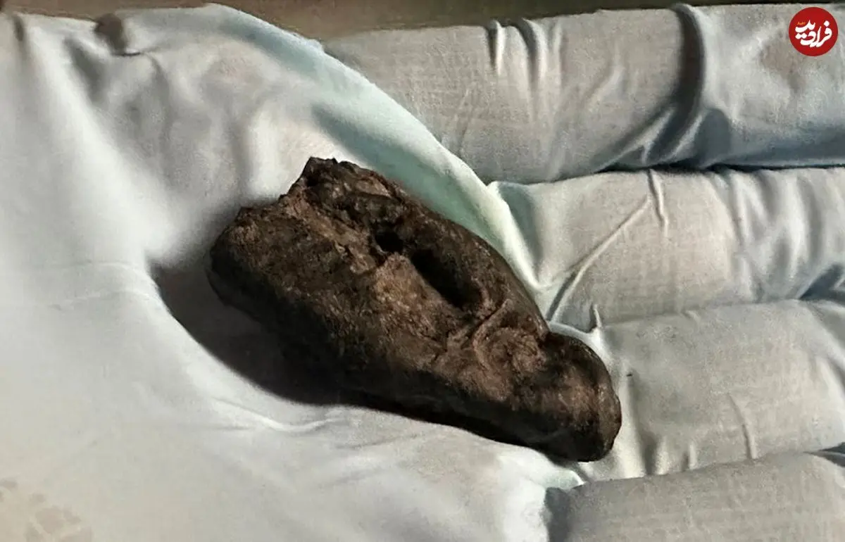 آدامس 10 هزار ساله‌ای که دختری با چشمان قهوه‌ای آن را جویده است