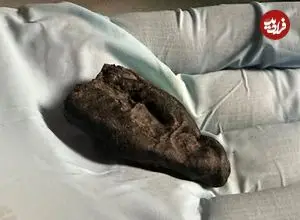 آدامس 10 هزار ساله‌ای که دختری با چشمان قهوه‌ای آن را جویده است