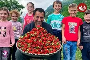 ببینید| غذای روستایی در آذربایجان؛ تهیه مربای توت فرنگی در روستایی کوهستانی