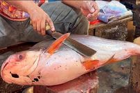 ببینید؛ مهارت ماهی فروش بنگلادشی در برش ماهی پنگاسیوس (Pangasius) غول پیکر