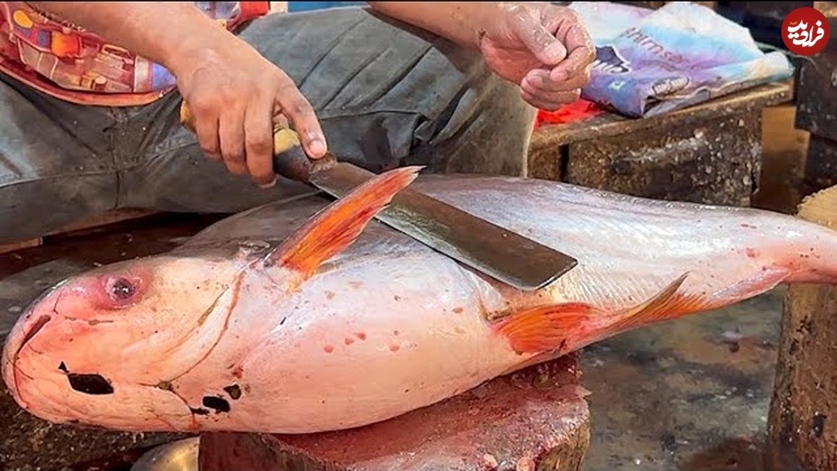 ببینید؛ مهارت ماهی فروش بنگلادشی در برش ماهی پنگاسیوس (Pangasius) غول پیکر