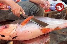 ببینید؛ مهارت ماهی فروش بنگلادشی در برش ماهی پنگاسیوس (Pangasius) غول پیکر