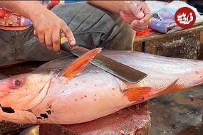 ببینید؛ مهارت ماهی فروش بنگلادشی در برش ماهی پنگاسیوس (Pangasius) غول پیکر
