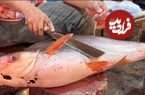 ببینید؛ مهارت ماهی فروش بنگلادشی در برش ماهی پنگاسیوس (Pangasius) غول پیکر