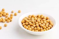 یک پروتئین گیاهی؛ از خواص و فرآورده‌های متنوع تا موارد احتیاط