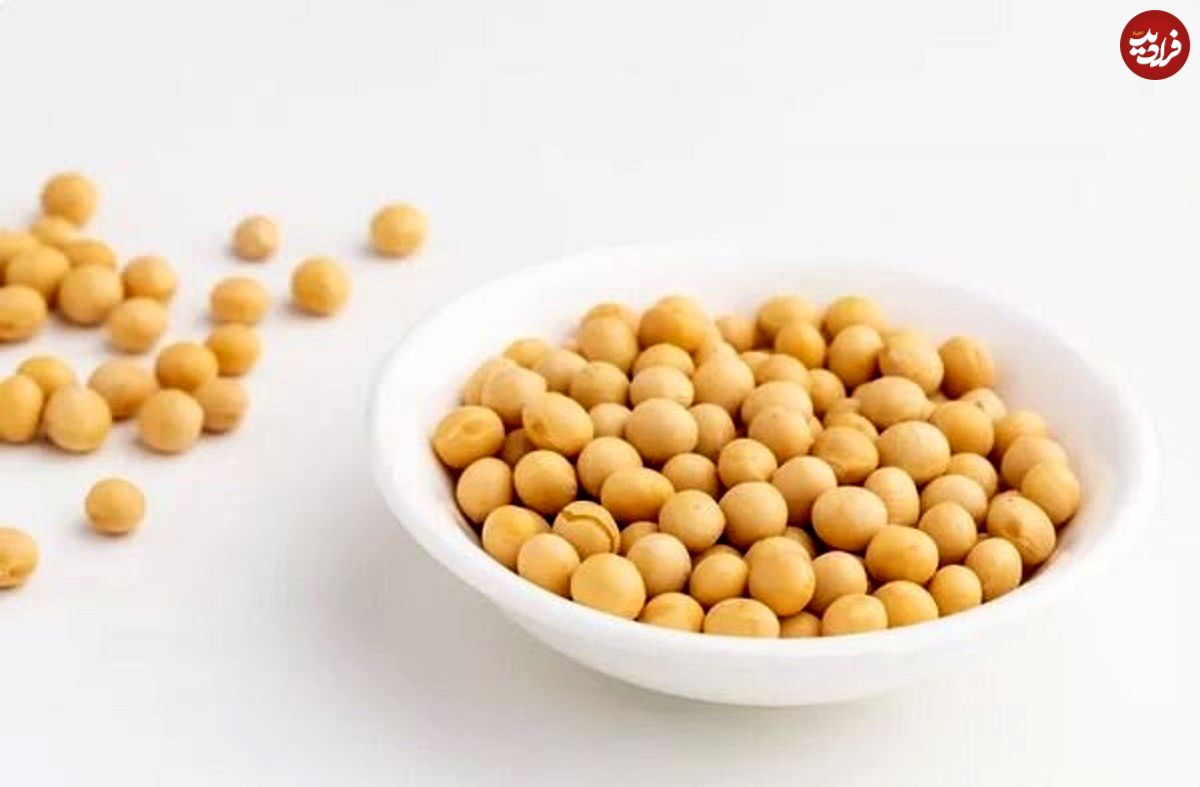 یک پروتئین گیاهی؛ از خواص و فرآوردههای متنوع تا موارد احتیاط