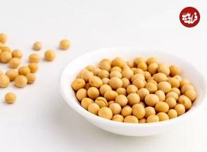 یک پروتئین گیاهی؛ از خواص و فرآورده‌های متنوع تا موارد احتیاط
