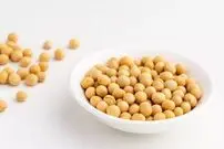 یک پروتئین گیاهی؛ از خواص و فرآورده‌های متنوع تا موارد احتیاط