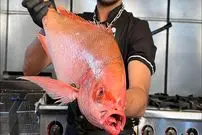 ببینید| غذای خیابانی در ایران؛ برش زدن ماهی سرخو و کباب کردن آن