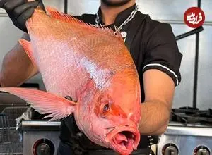 ببینید| غذای خیابانی در ایران؛ برش زدن ماهی سرخو و کباب کردن آن