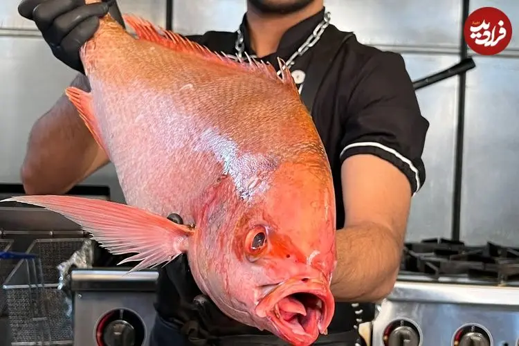 ببینید| غذای خیابانی در ایران؛ برش زدن ماهی سرخو و کباب کردن آن