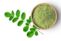 خواص گیاه سدر برای پوست و مو | سدر در طب سنتی چه فوایدی دارد؟