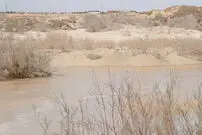 واکنش افغان ها به باز کردن آب بند کمال خان به‌سوی ایران