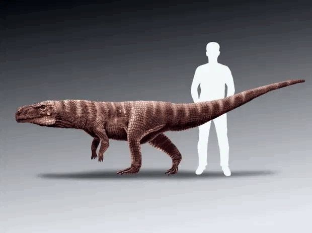 کشف ردپای یک کروکودیل دایناسور ترسناکی که مانند انسان ها روی دو پا راه می‌رفته است